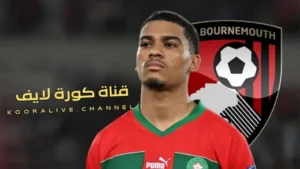 رسميا: الدولي المغربي أمين عدلي فالدوري الإنجليزي الممتاز